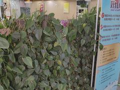 -九头鸟酒家(东高地店)