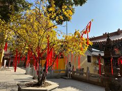 -宝通禅寺