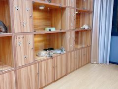 -猫十亿·布偶金渐层·曼基康矮脚猫舍(青年路店)