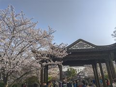 -广富林郊野公园