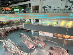 -安徽省地质博物馆