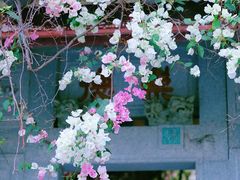 -深圳国际园林花卉博览园