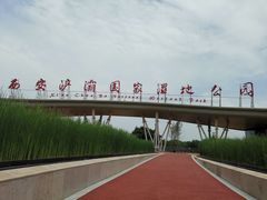-西安浐灞国家湿地公园