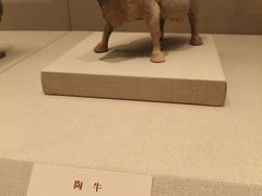 -太原市博物馆