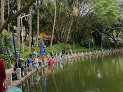 -人民公园(罗湖区)