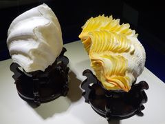 -贝壳王国博物馆