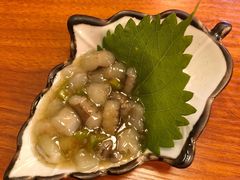 -达摩食堂(仓山万达店)
