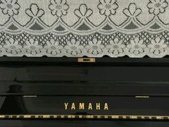-梅纳·钢琴声乐架子鼓Mena Music(双井店)