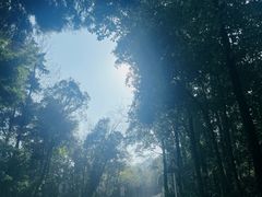 -老君山