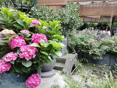 -凤来栖·净庭院·火锅(欧尚店)