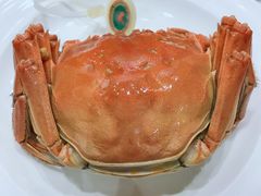 -饭怕鱼(阳光100店)