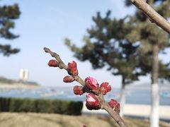 -海源公园