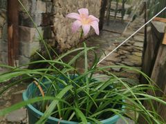 -MOJ coffee(瓯海泽雅水碓坑店)