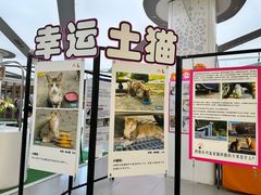 -新荟城(望京店)