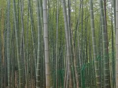 -陶祖圣境风景区