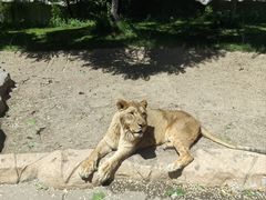 -北京野生动物园