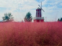 -羊亭河湿地公园