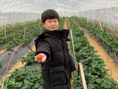 -阿林有机农庄