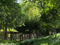 -徐家汇源景区-衡山公园