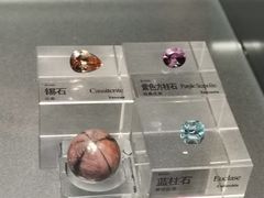 -中国地质博物馆