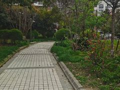 -金江家园