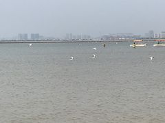 -山海广场