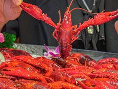 -舞虾小说.涮肉.烧烤(国顺东路店)