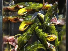 -秋语木桶鱼.酸菜鱼(开发区火车站店)