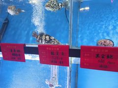 -囍凤楼·粤菜·点心·火锅(温特莱店)