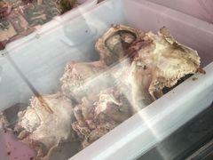 -洪记白水羊头(天坛店)