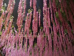 -横店影视城梦幻谷园区