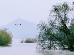 -仙山湖景区