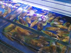 -长申超市(美食城店)