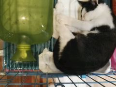 -猫的天空之城概念书店(杭州南宋御街店)