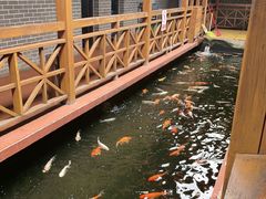 -侠成水上农庄(工业大道店)