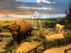 -陕西自然博物馆