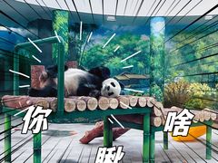 -天津市动物园