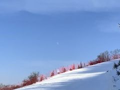 -鳌山滑雪度假区