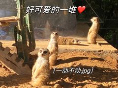 -济南野生动物世界