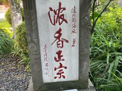 -泸州老窖景区