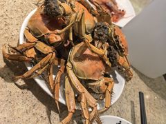 -初色海鲜自助(万丰路店)
