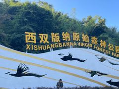 -西双版纳原始森林公园