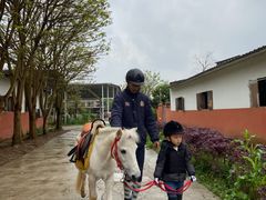 -重庆和泰马术俱乐部