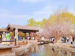 -三里河公园