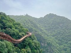 -少华山国家森林公园
