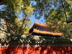 -北京国子监胡同