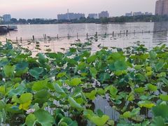 -朵朵开素食餐厅(后宰门街店)