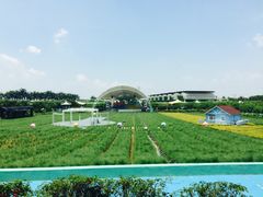 -广州花之恋城堡酒店