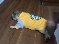 -PETKIT小佩宠物(昭化店)