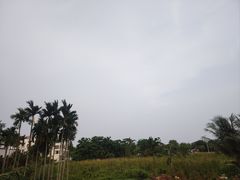 -海恋园海鲜餐馆